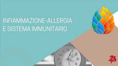 Infiammazione-allergia e sistema immunitario